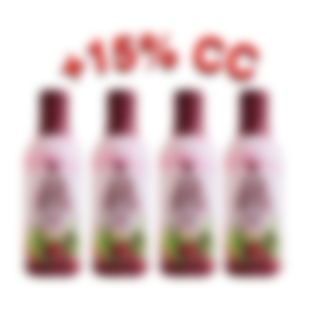 4PACK ALOE BERRY NECTAR - PET