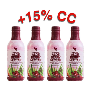 4PACK ALOE BERRY NECTAR - PET